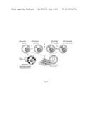 XANTHOHUMOL AND TETRAHYDRO-ISOALPHA ACID BASED PROTEIN KINASE MODULATION CANCER TREATMENT diagram and image