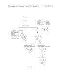 MODULATION OF INFLAMMATION BY HOPS FRACTIONS AND DERIVATIVES diagram and image