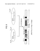 TRANSGENIC SILKWORM CAPABLE OF PRODUCING ANTIBODY AND METHOD FOR PRODUCTION THEREOF diagram and image