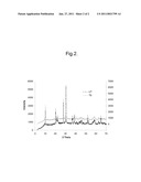 PARTICLE WITH BIPOLAR TOPOSPECIFIC CHARACTERISTICS AND PROCESS FOR PREPARATION THEREOF diagram and image