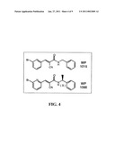 COMPOUNDS FOR TREATMENT OF CELL PROLIFERATIVE DISEASES diagram and image