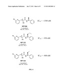 COMPOUNDS FOR TREATMENT OF CELL PROLIFERATIVE DISEASES diagram and image