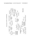 PRODUCTION OF CAROTENOIDS IN OLEAGINOUS YEAST AND FUNGI diagram and image