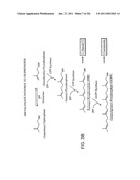 PRODUCTION OF CAROTENOIDS IN OLEAGINOUS YEAST AND FUNGI diagram and image