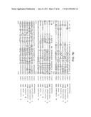 PRODUCTION OF CAROTENOIDS IN OLEAGINOUS YEAST AND FUNGI diagram and image