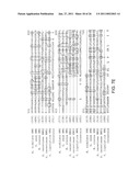 PRODUCTION OF CAROTENOIDS IN OLEAGINOUS YEAST AND FUNGI diagram and image