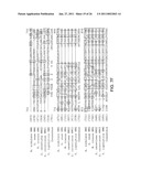 PRODUCTION OF CAROTENOIDS IN OLEAGINOUS YEAST AND FUNGI diagram and image