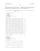 PRODUCTION OF CAROTENOIDS IN OLEAGINOUS YEAST AND FUNGI diagram and image