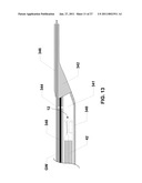 ENDOVENTRICULAR INJECTION CATHETER SYSTEM WITH INTEGRATED ECHOCARDIOGRAPHIC CAPABILITIES diagram and image