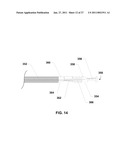 ENDOVENTRICULAR INJECTION CATHETER SYSTEM WITH INTEGRATED ECHOCARDIOGRAPHIC CAPABILITIES diagram and image