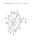 Device for Immobilizing a Primary Instrument and Method Therefor diagram and image