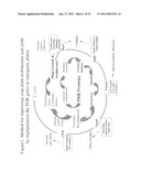 METHODS FOR IMPROVING CROP PLANT ARCHITECTURE AND YIELD diagram and image