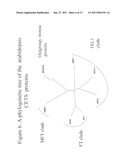 METHODS FOR IMPROVING CROP PLANT ARCHITECTURE AND YIELD diagram and image