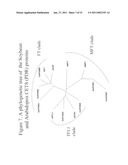 METHODS FOR IMPROVING CROP PLANT ARCHITECTURE AND YIELD diagram and image