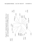 METHODS FOR IMPROVING CROP PLANT ARCHITECTURE AND YIELD diagram and image