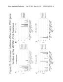 METHODS FOR IMPROVING CROP PLANT ARCHITECTURE AND YIELD diagram and image