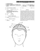 Hair Integration Assembly diagram and image