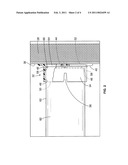 Aerosol Spray Can Agitator diagram and image