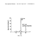 SWITCHED FERROELECTRIC PLASMA IONIZER diagram and image