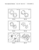 3D Biplane Microscopy diagram and image