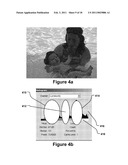 Perfecting the Effect of Flash within an Image Acquisition Devices Using Face Detection diagram and image