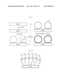 METHOD AND APPARATUS FOR DETECTING METAL IONS, PROBE USED FOR THE SAME AND PREPARATION METHOD THEREOF diagram and image