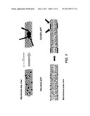 PH SENSITIVE LIPOSOME COMPOSITION diagram and image