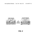 PH SENSITIVE LIPOSOME COMPOSITION diagram and image