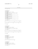 INHIBITION OF ANGIOGENESIS diagram and image