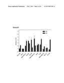 TAZ/WWTR1 FOR DIAGNOSIS AND TREATMENT OF CANCER diagram and image