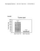 TAZ/WWTR1 FOR DIAGNOSIS AND TREATMENT OF CANCER diagram and image
