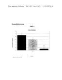 TAZ/WWTR1 FOR DIAGNOSIS AND TREATMENT OF CANCER diagram and image