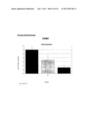 TAZ/WWTR1 FOR DIAGNOSIS AND TREATMENT OF CANCER diagram and image