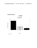 TAZ/WWTR1 FOR DIAGNOSIS AND TREATMENT OF CANCER diagram and image