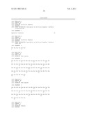 TAZ/WWTR1 FOR DIAGNOSIS AND TREATMENT OF CANCER diagram and image