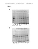 Skincare Composition Comprising HSA Fusion Protein, Preparation Method And Uses Thereof diagram and image