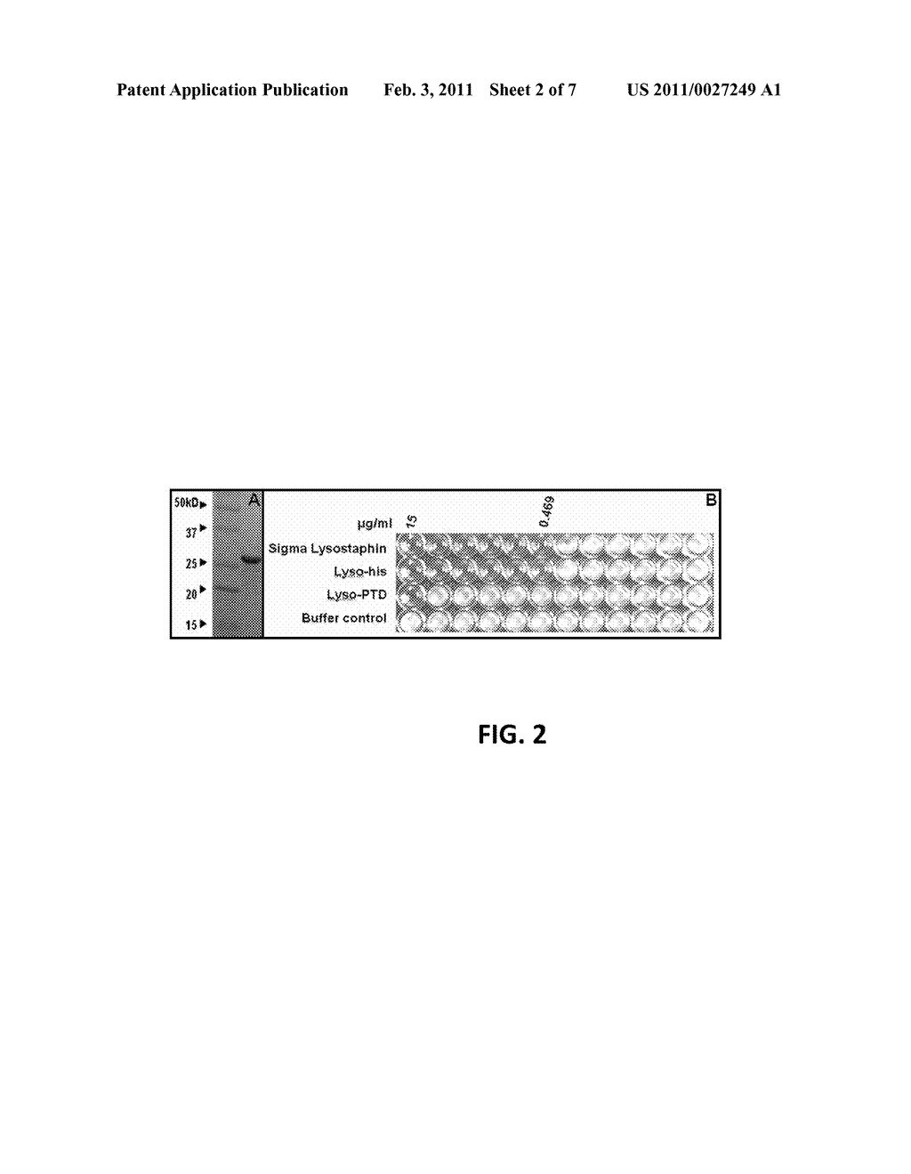 Fusion of Peptidoglycan Hydrolase Enzymes to a Protein Transduction Domain Allows Eradication of both Extracellular and Intracellular Gram Positive Pathogens - diagram, schematic, and image 03