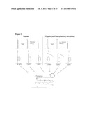 PADLOCK PROBE AMPLIFICATION METHODS diagram and image