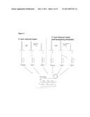 PADLOCK PROBE AMPLIFICATION METHODS diagram and image