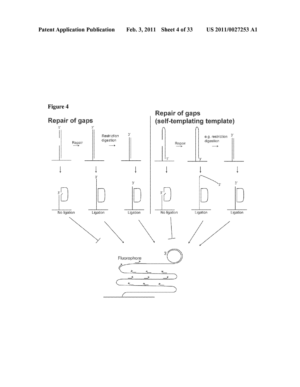 PADLOCK PROBE AMPLIFICATION METHODS - diagram, schematic, and image 05