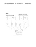 PADLOCK PROBE AMPLIFICATION METHODS diagram and image
