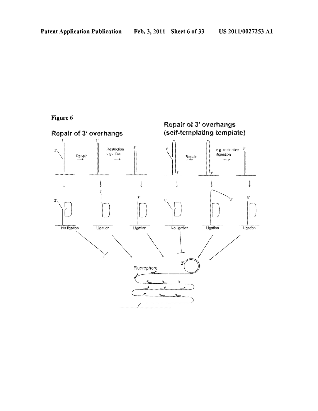 PADLOCK PROBE AMPLIFICATION METHODS - diagram, schematic, and image 07