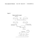 PADLOCK PROBE AMPLIFICATION METHODS diagram and image