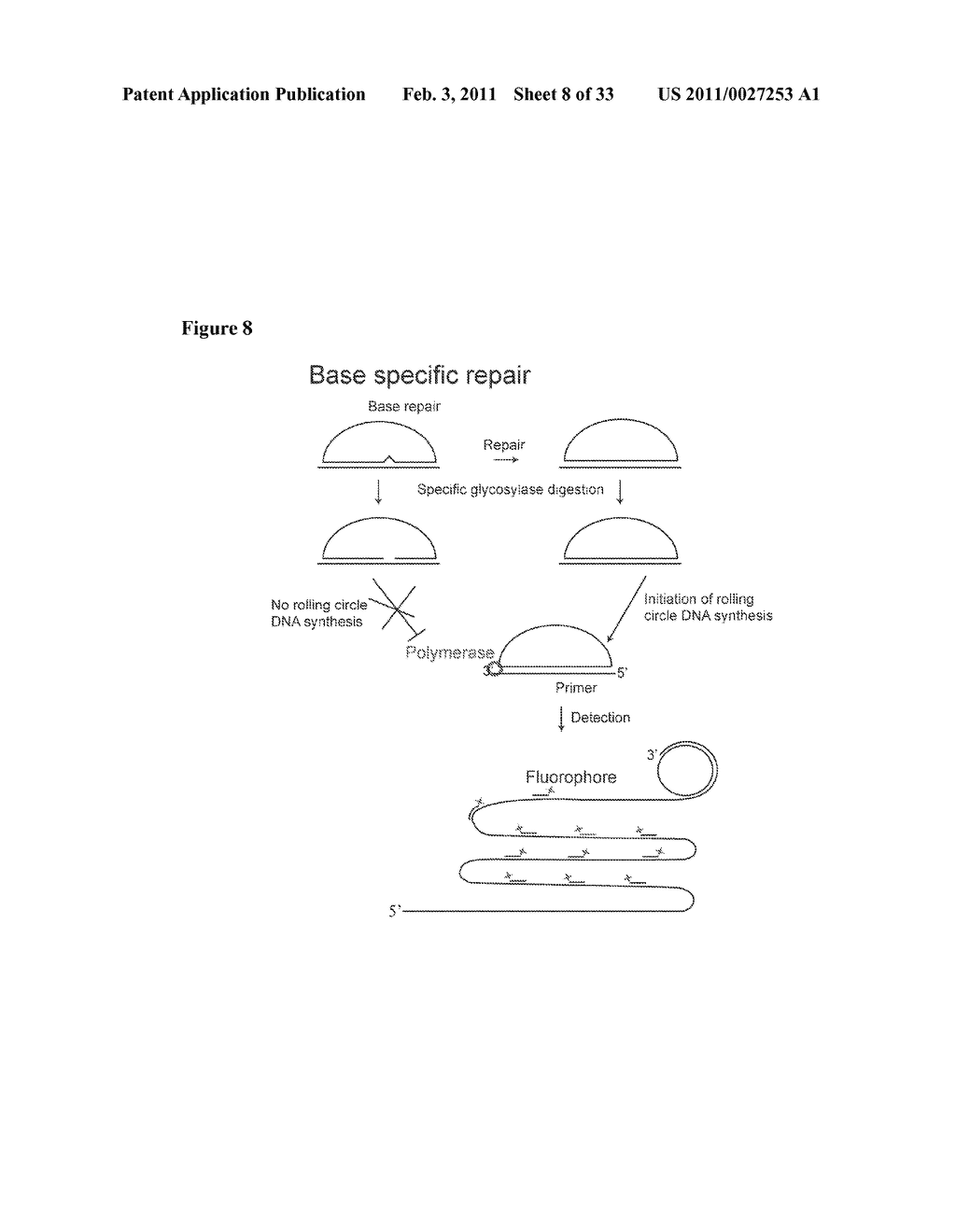 PADLOCK PROBE AMPLIFICATION METHODS - diagram, schematic, and image 09