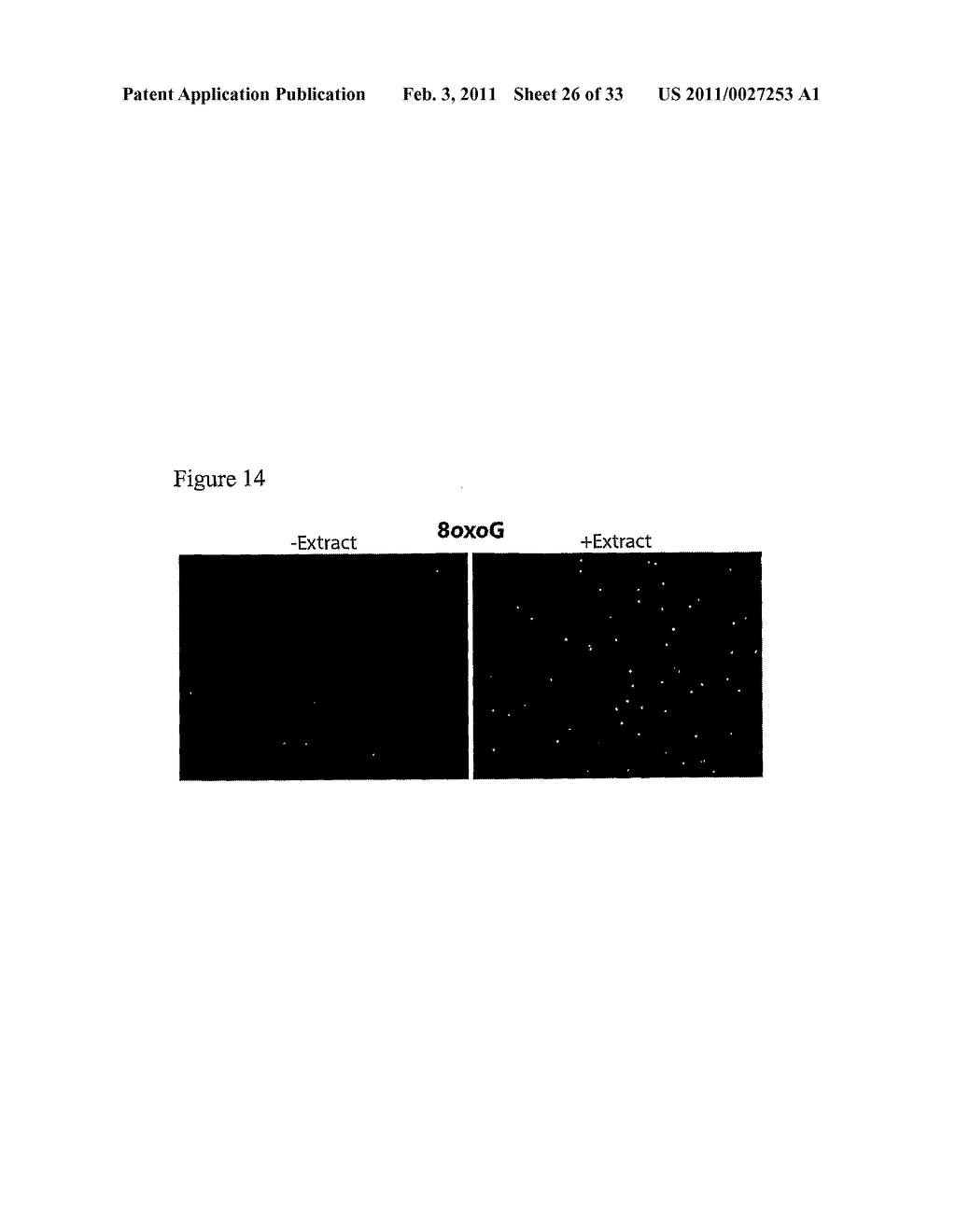 PADLOCK PROBE AMPLIFICATION METHODS - diagram, schematic, and image 27