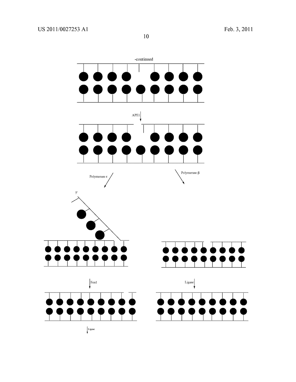 PADLOCK PROBE AMPLIFICATION METHODS - diagram, schematic, and image 44