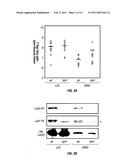 Methods and Compositions Related to Immunizing Against Staphylococcal Lung Diseases and Conditions diagram and image