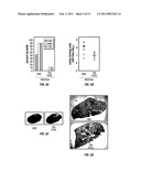 Methods and Compositions Related to Immunizing Against Staphylococcal Lung Diseases and Conditions diagram and image