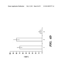 PREDICTIVE MARKER FOR TOPOISOMERASE I INHIBITORS diagram and image