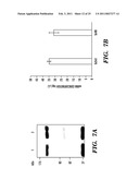 PREDICTIVE MARKER FOR TOPOISOMERASE I INHIBITORS diagram and image